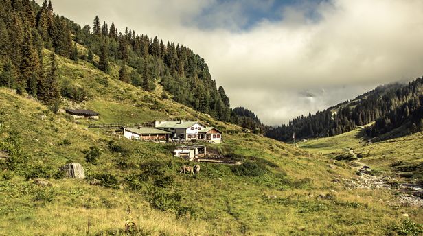 Alpe Tritsch im Moostal